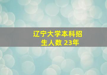 辽宁大学本科招生人数 23年